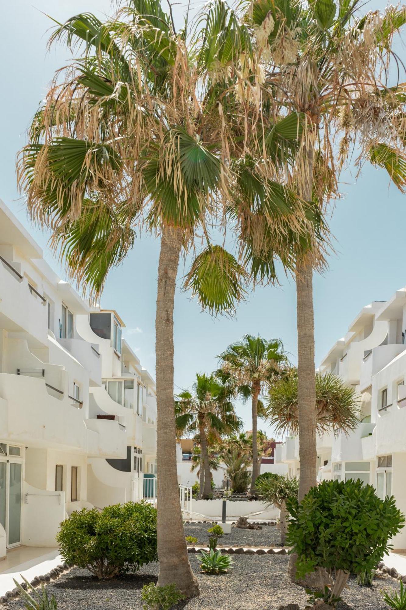 Ferienwohnung Casa Maja Costa De Antigua Exterior foto